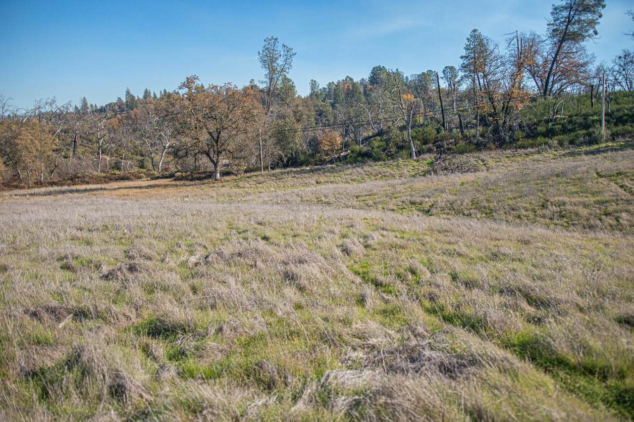 8545 Country Hills Lane - Photo 1