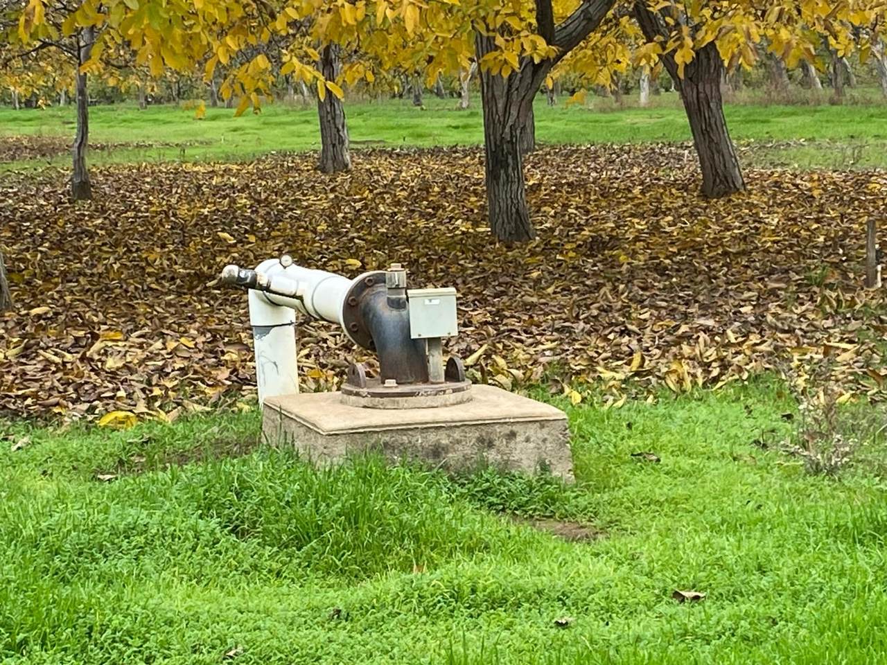 https://bt-photos.global.ssl.fastly.net/sacramento/1280_boomver_1_560960383-2.jpg