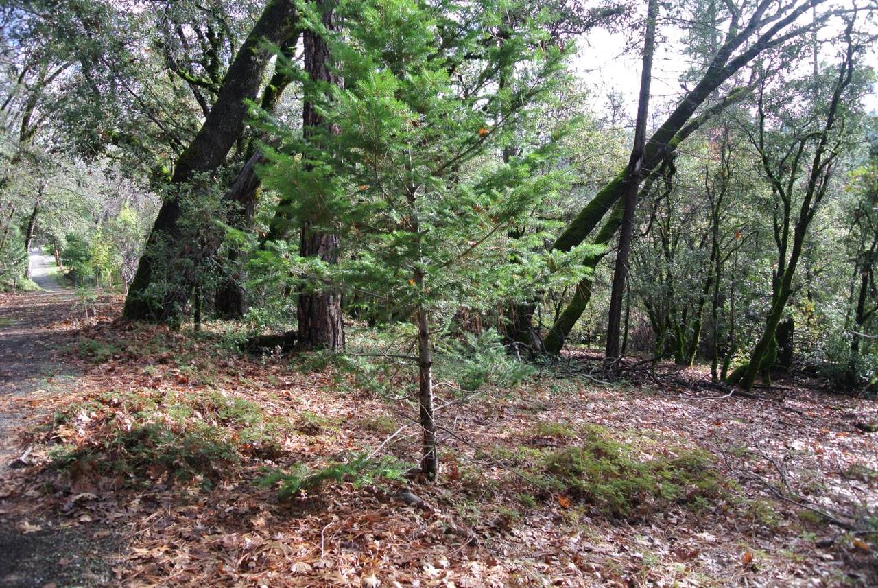 https://bt-photos.global.ssl.fastly.net/sacramento/1280_boomver_1_560960835-2.jpg