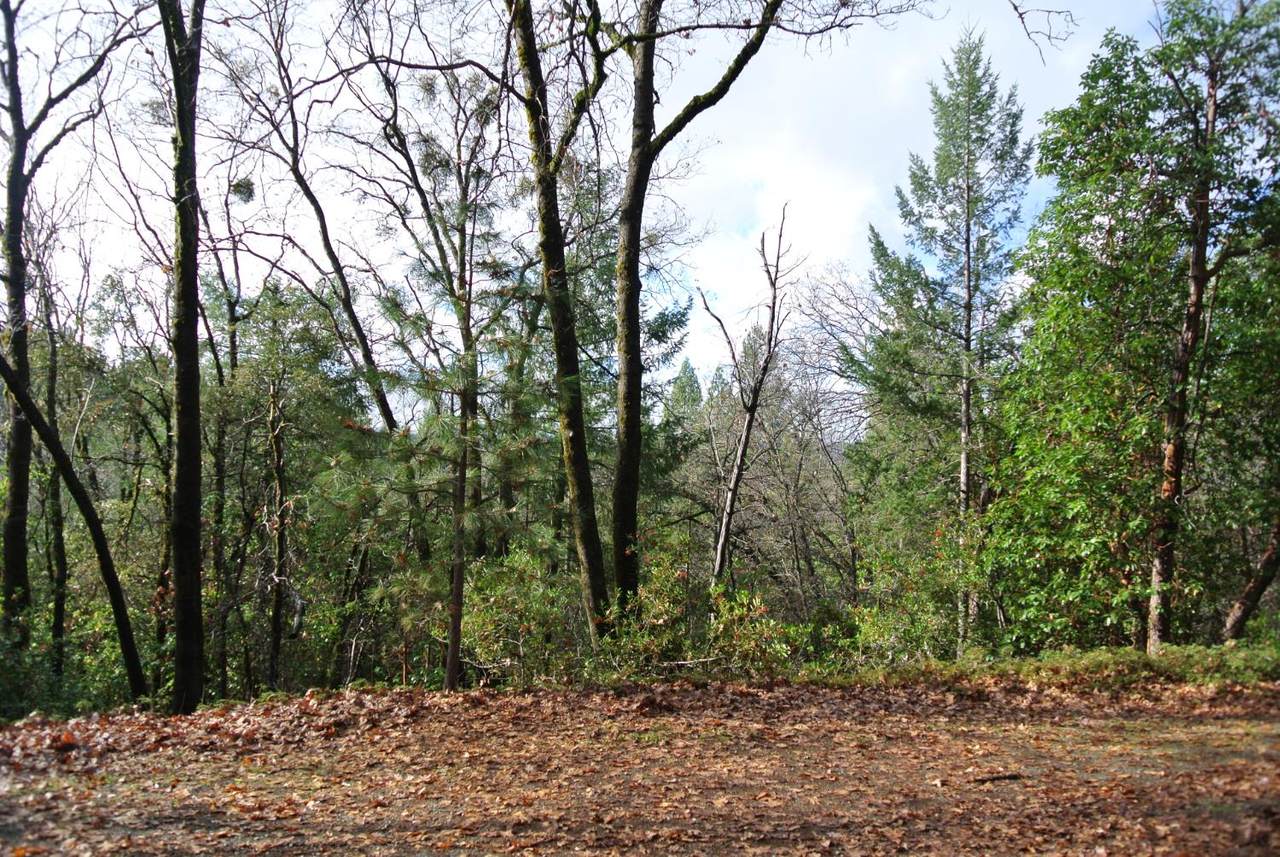 5588 Pine Ridge Road - Photo 1