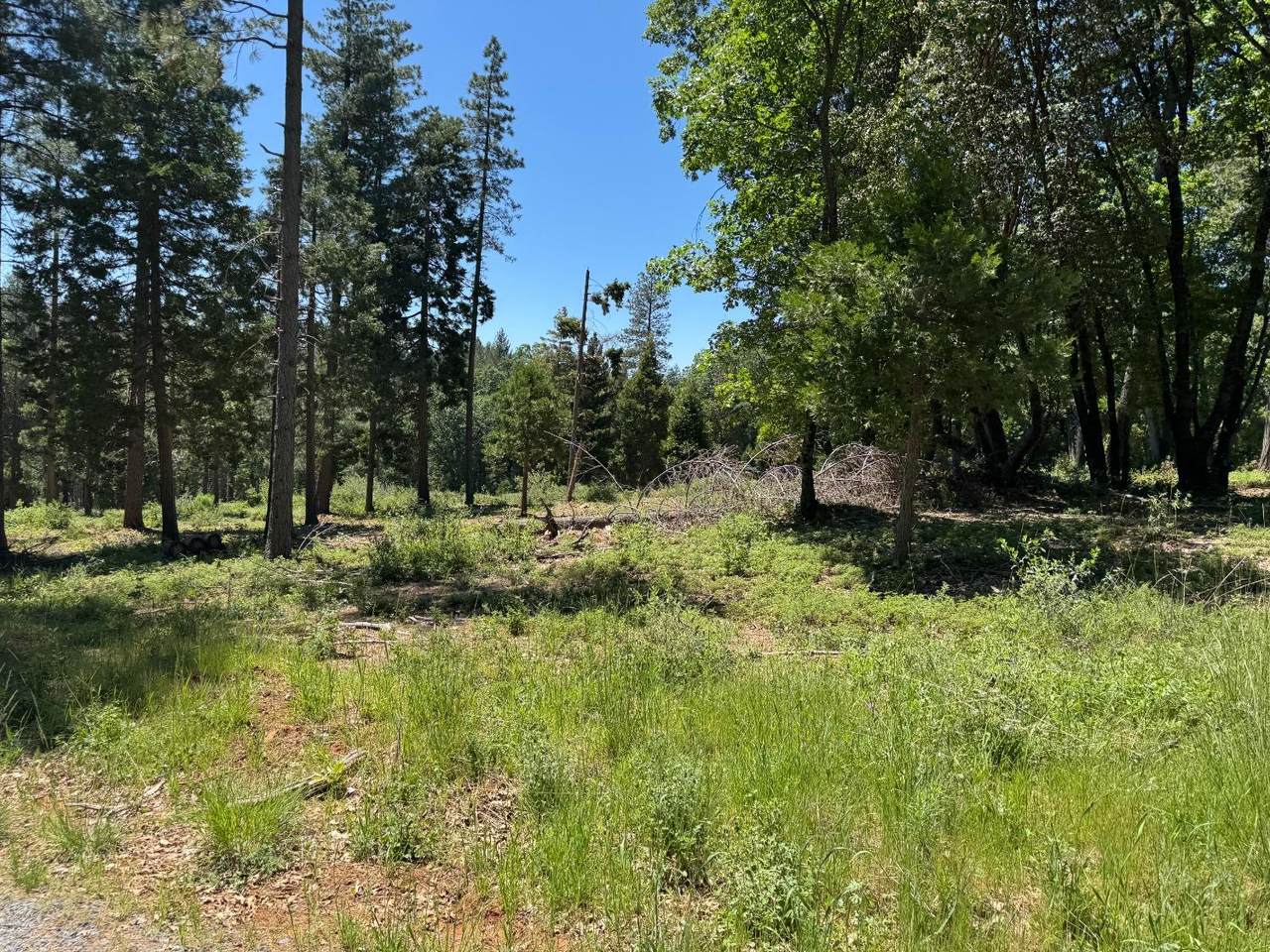 20710 Foresthill Road - Photo 1