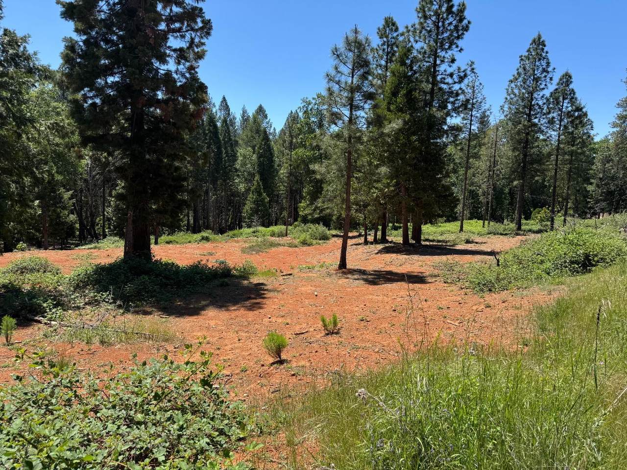 https://bt-photos.global.ssl.fastly.net/sacramento/orig_boomver_1_560962139-2.jpg