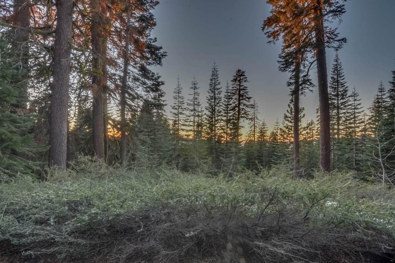0 Prather Meadow Road - Photo 1