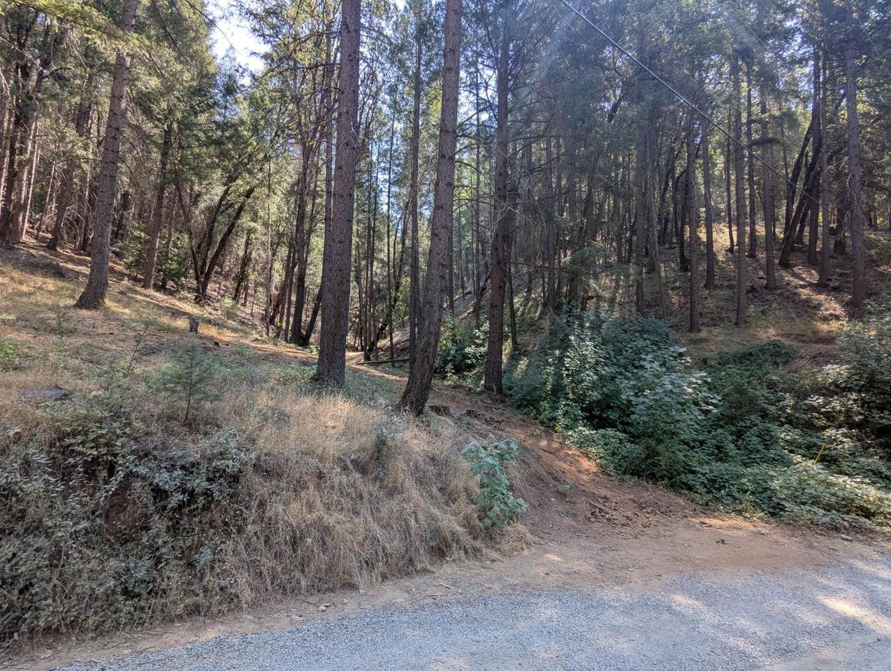 14295 Arrowhead Mine Road - Photo 1