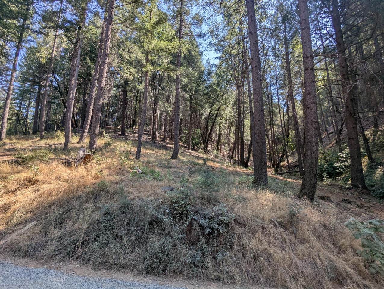 https://bt-photos.global.ssl.fastly.net/sacramento/1280_boomver_1_560962686-2.jpg