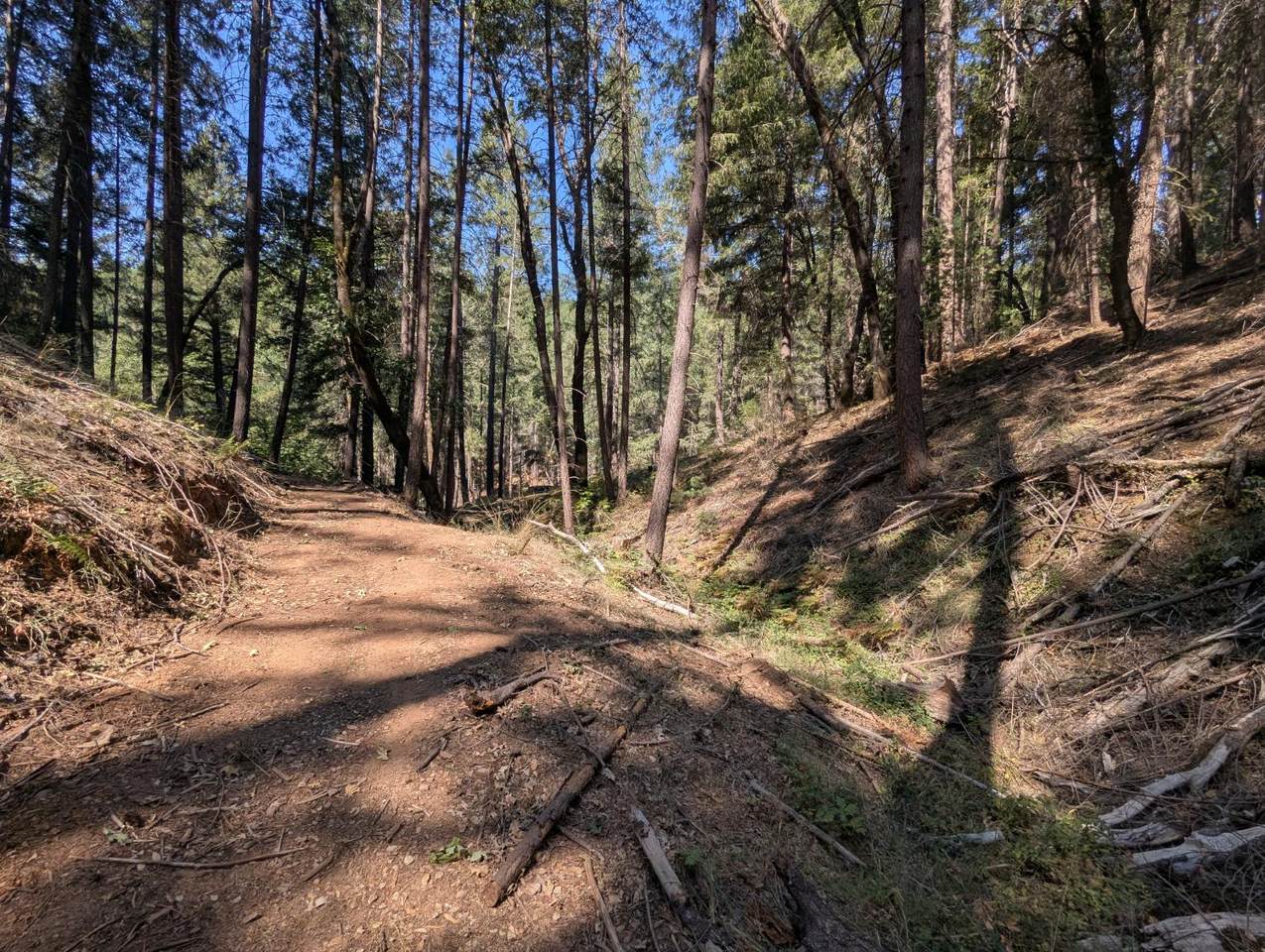 https://bt-photos.global.ssl.fastly.net/sacramento/1280_boomver_1_560962686-2.jpg