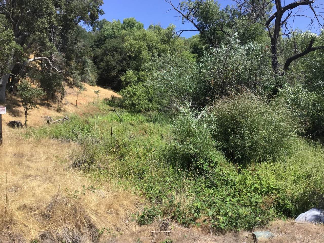 https://bt-photos.global.ssl.fastly.net/sacramento/1280_boomver_1_560963296-2.jpg