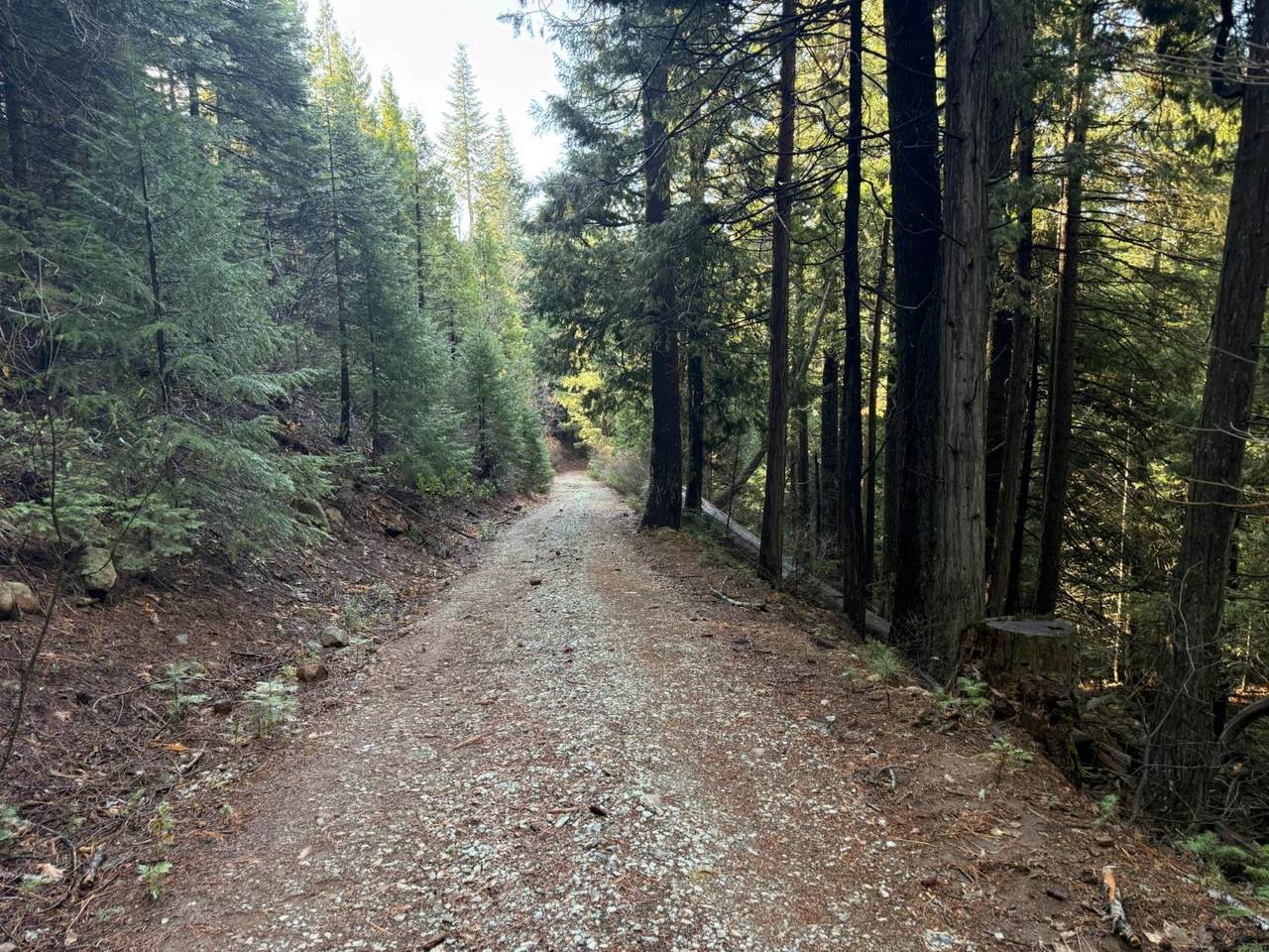 https://bt-photos.global.ssl.fastly.net/sacramento/1280_boomver_1_560963502-2.jpg