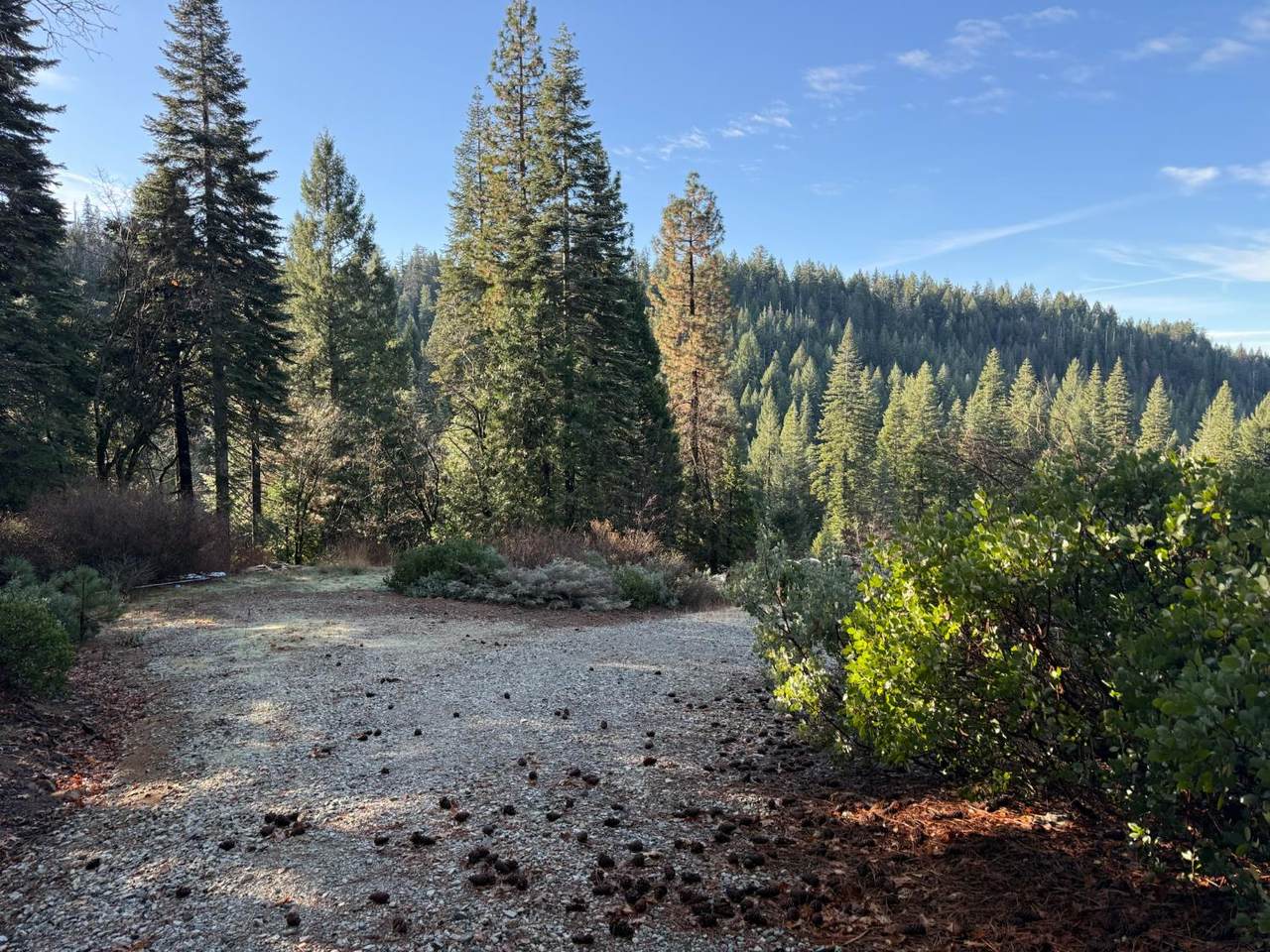 https://bt-photos.global.ssl.fastly.net/sacramento/1280_boomver_1_560963502-2.jpg