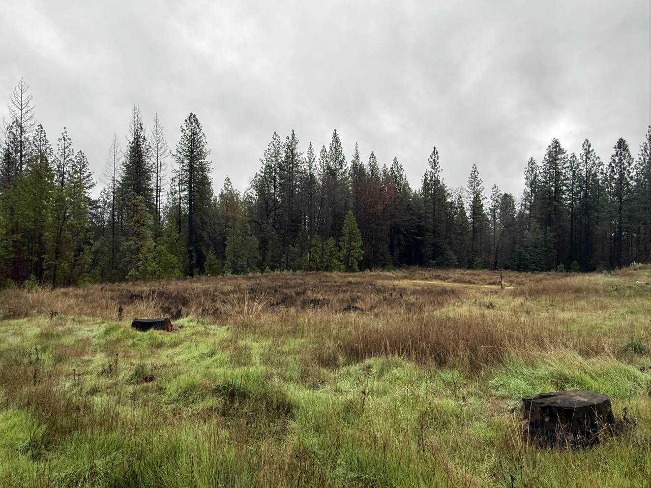 https://bt-photos.global.ssl.fastly.net/sacramento/1280_boomver_1_560963540-2.jpg