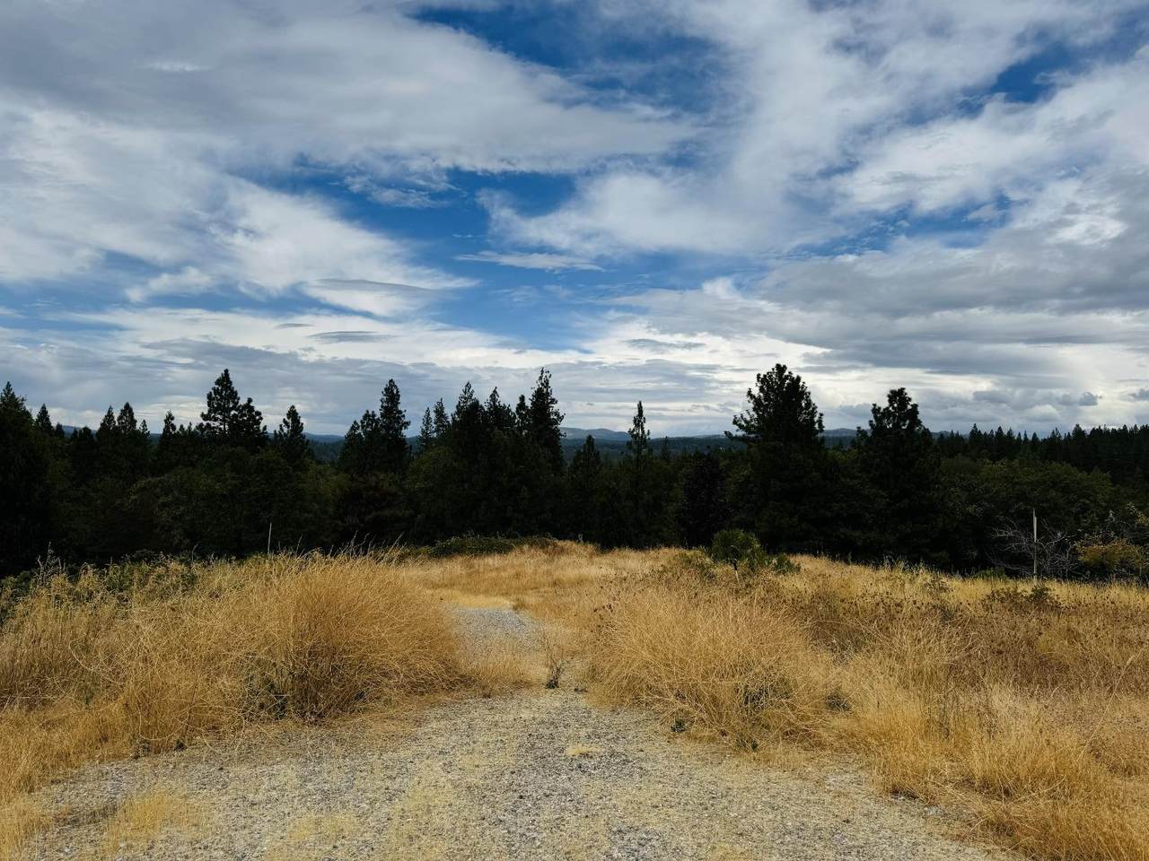 https://bt-photos.global.ssl.fastly.net/sacramento/1280_boomver_1_560964088-2.jpg