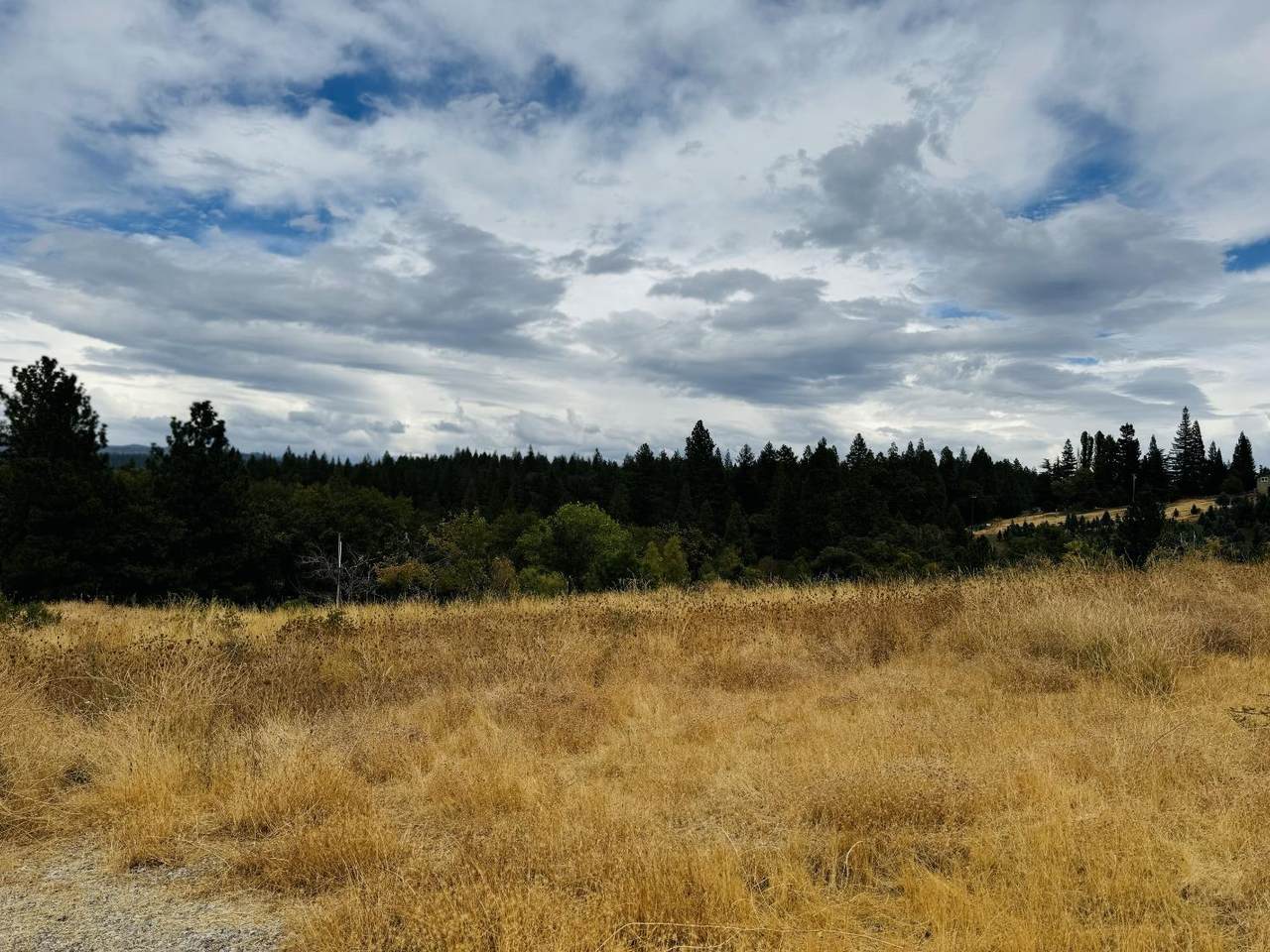https://bt-photos.global.ssl.fastly.net/sacramento/1280_boomver_1_560964088-2.jpg