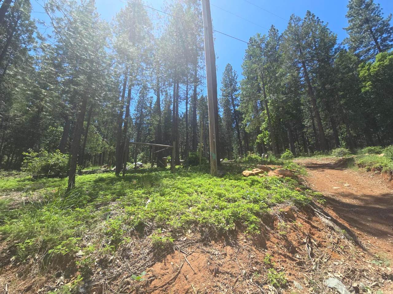 12181 Robust Way - Photo 1