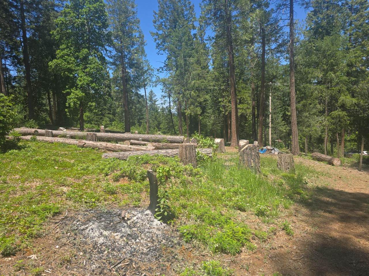 https://bt-photos.global.ssl.fastly.net/sacramento/1280_boomver_1_560964114-2.jpg