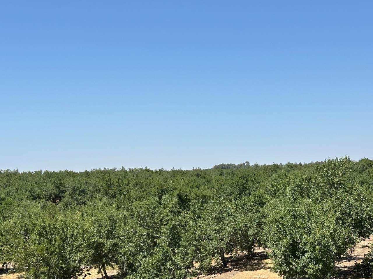 https://bt-photos.global.ssl.fastly.net/sacramento/1280_boomver_1_560965181-2.jpg