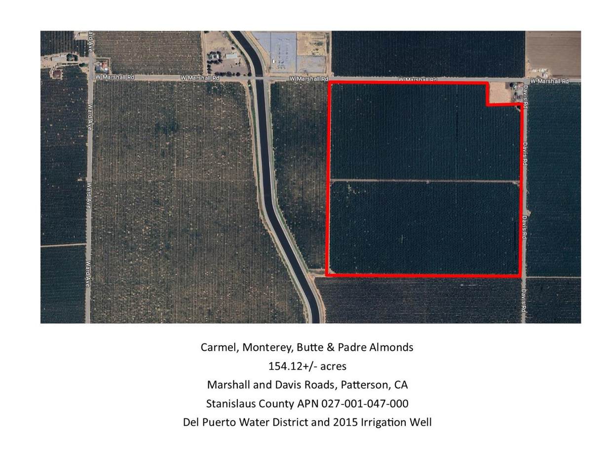 18401 Davis Road - Photo 1
