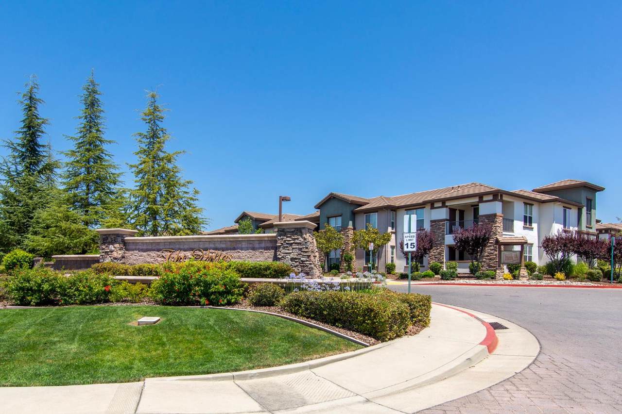 1520 Topanga Lane - Photo 1