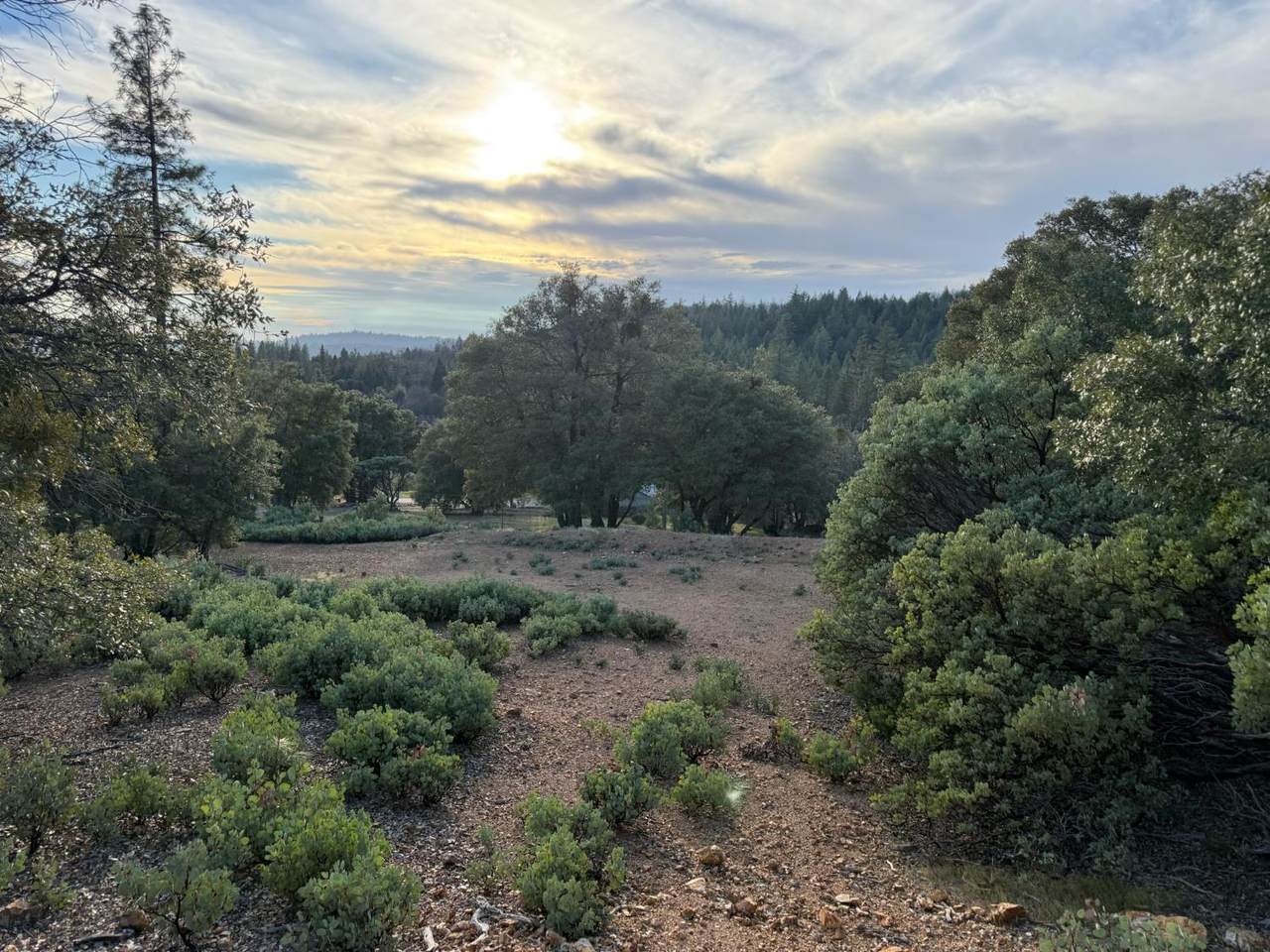 13787 Manion Canyon Road - Photo 1