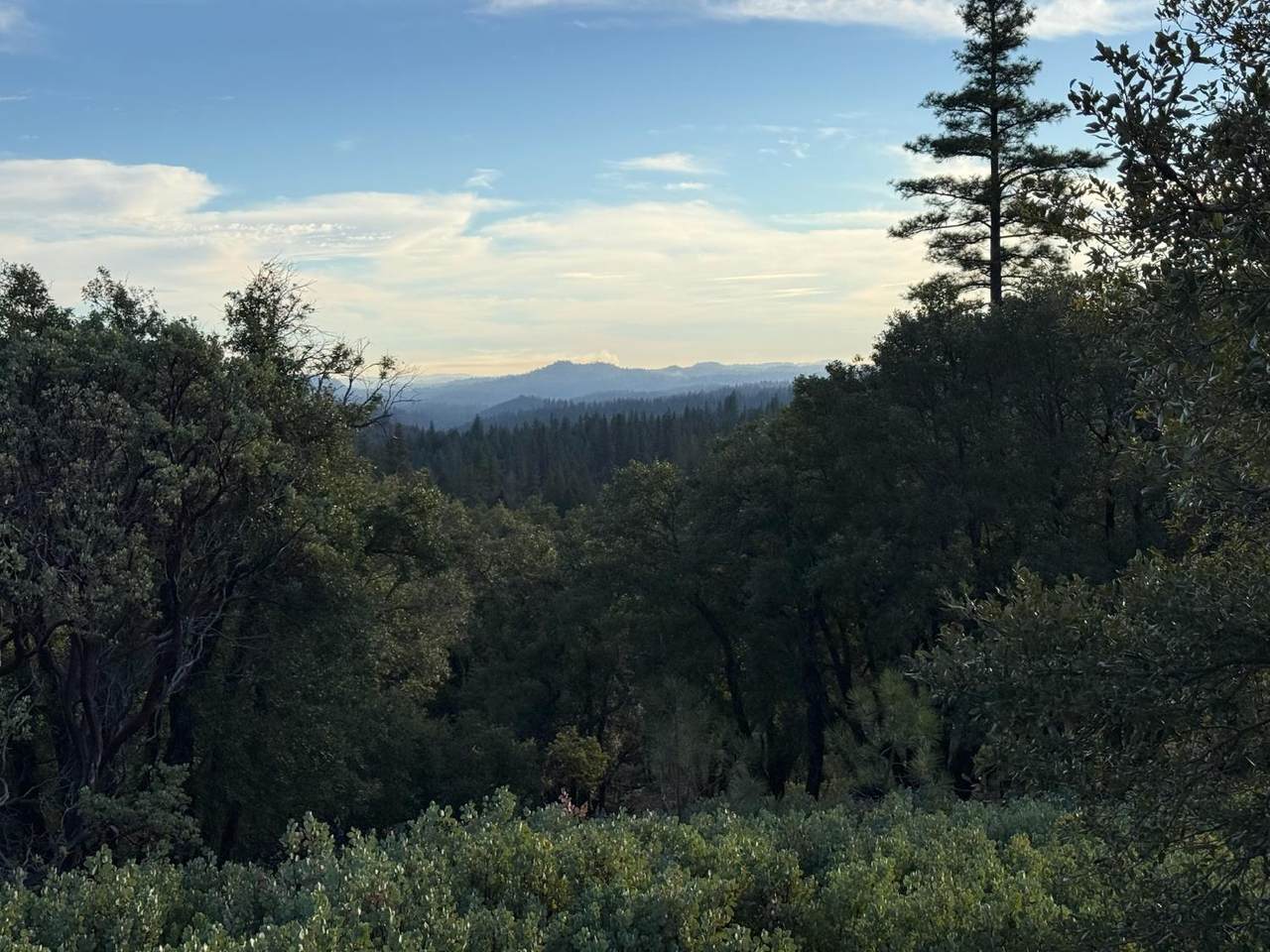 https://bt-photos.global.ssl.fastly.net/sacramento/1280_boomver_1_560965884-2.jpg