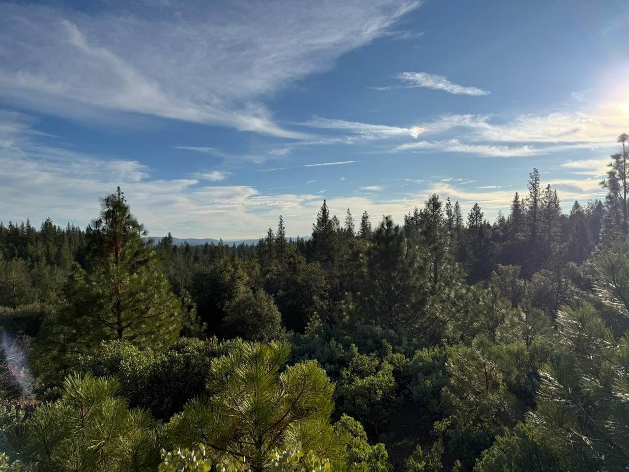 https://bt-photos.global.ssl.fastly.net/sacramento/1280_boomver_1_560965884-2.jpg