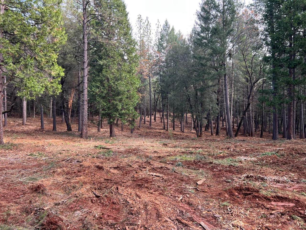 5861 Bear Creek Rd - Photo 1