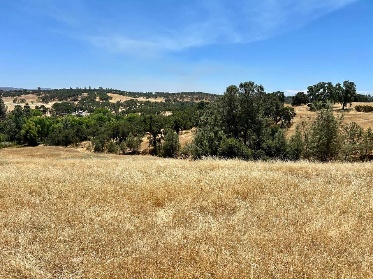 https://bt-photos.global.ssl.fastly.net/sacramento/1280_boomver_1_560966880-2.jpg