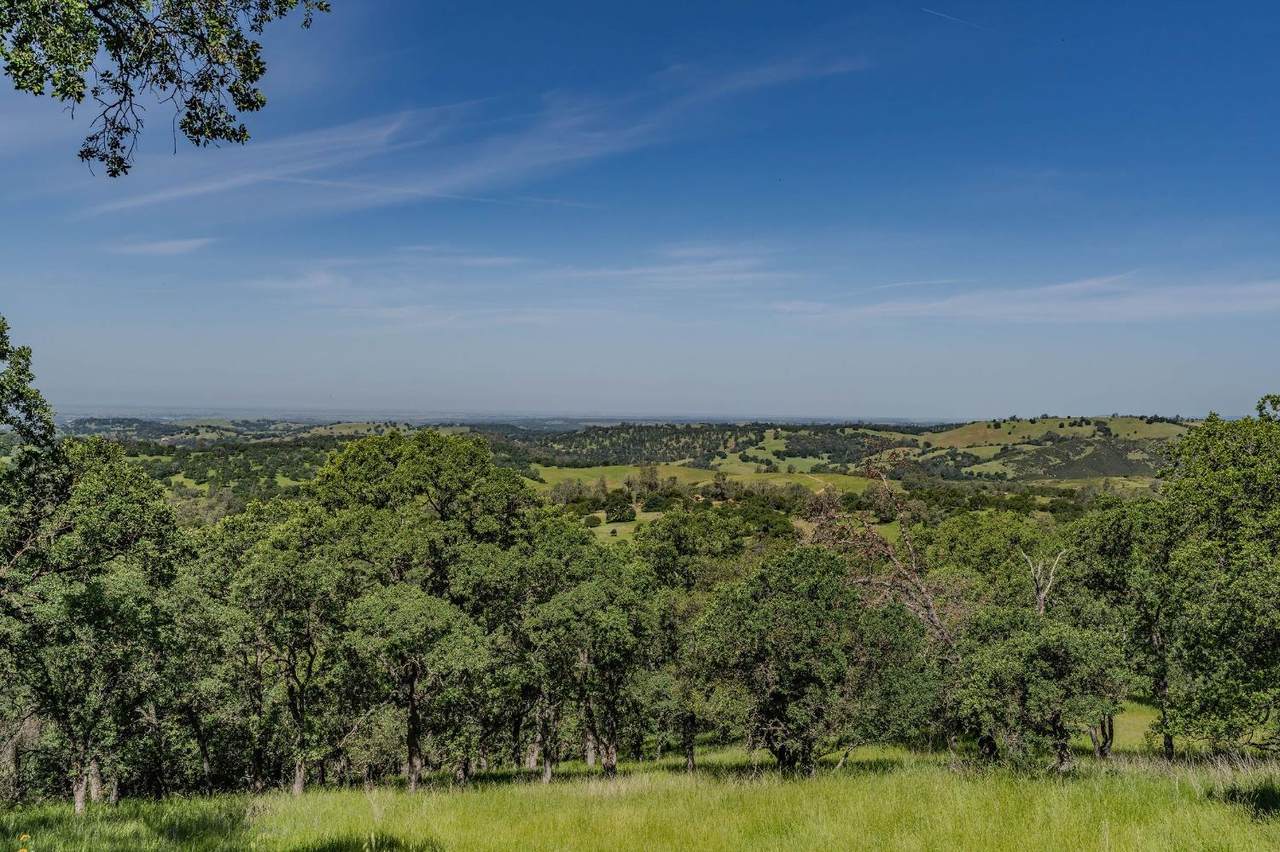 https://bt-photos.global.ssl.fastly.net/sacramento/1280_boomver_1_560967277-2.jpg