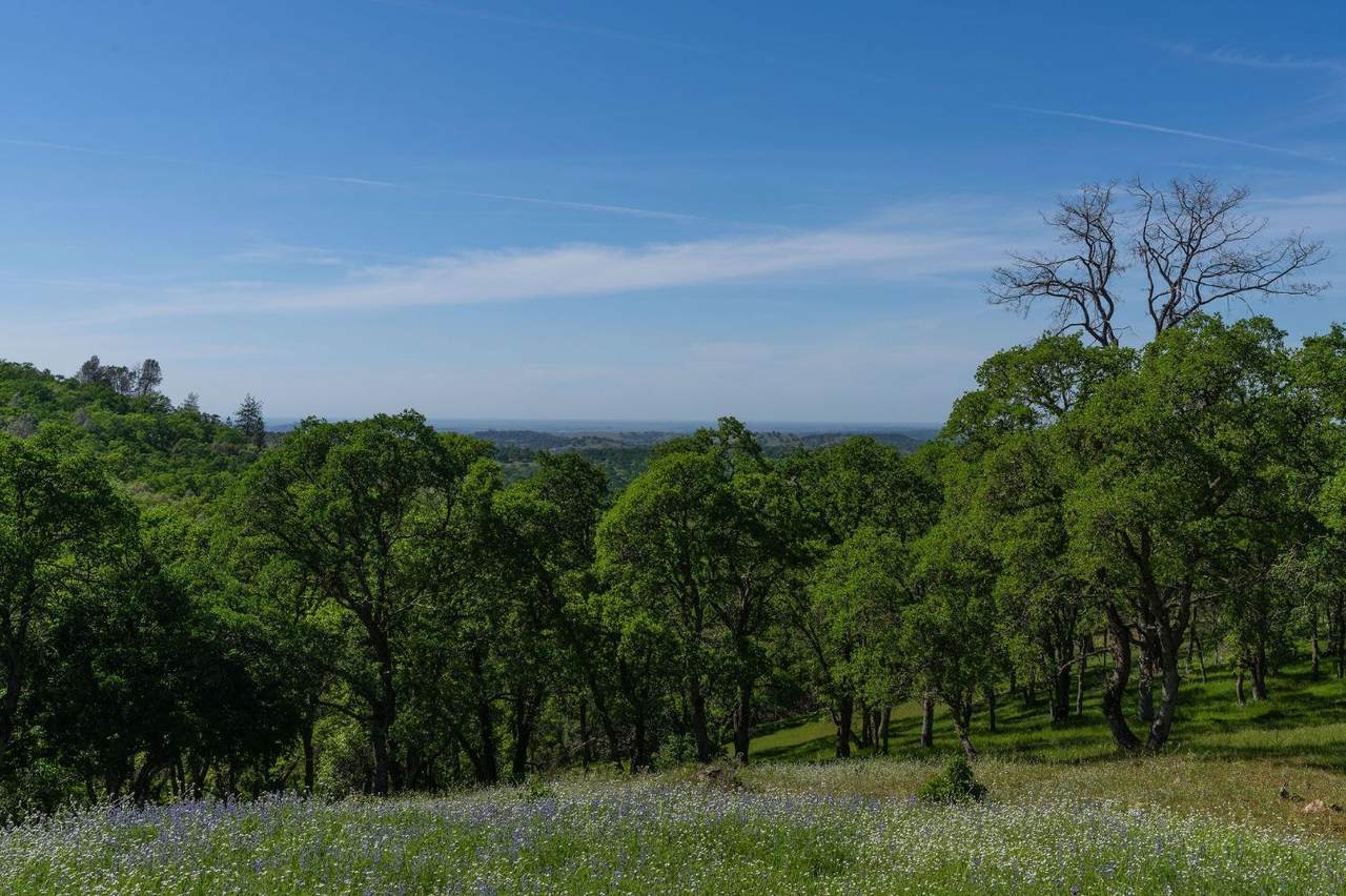 https://bt-photos.global.ssl.fastly.net/sacramento/orig_boomver_1_560967279-2.jpg