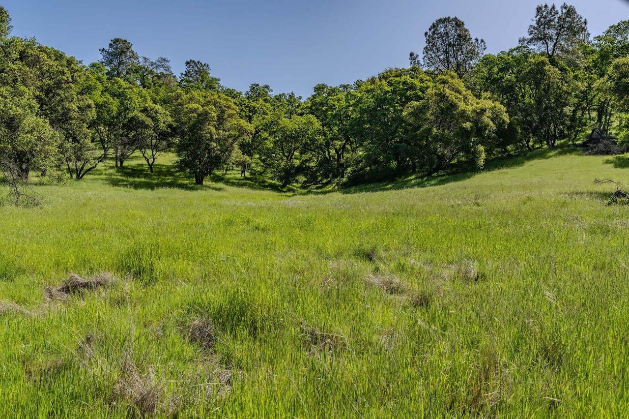 https://bt-photos.global.ssl.fastly.net/sacramento/1280_boomver_1_560967280-2.jpg