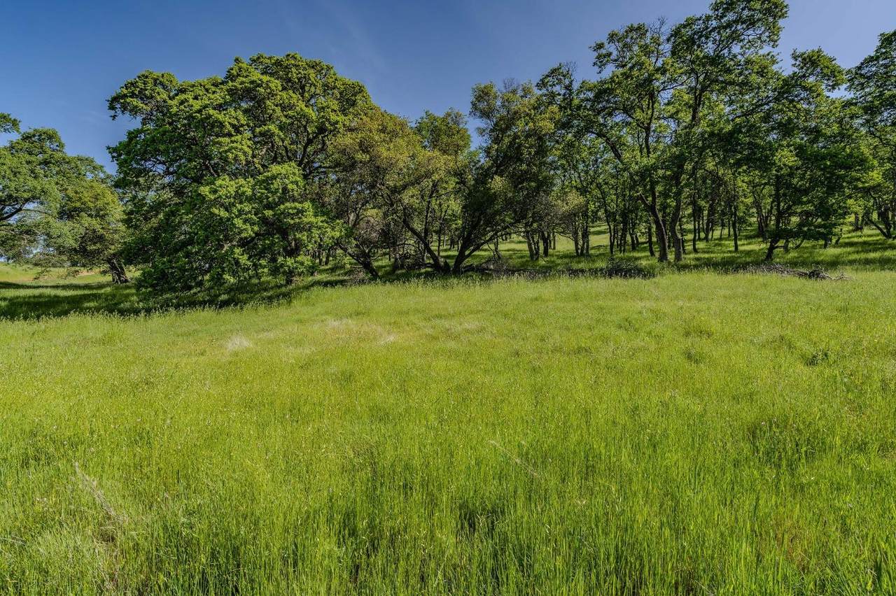 https://bt-photos.global.ssl.fastly.net/sacramento/1280_boomver_1_560967281-2.jpg