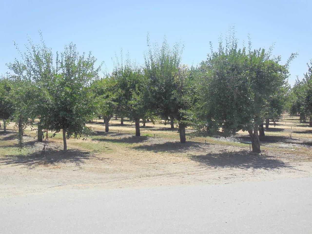 https://bt-photos.global.ssl.fastly.net/sacramento/1280_boomver_1_560967465-2.jpg