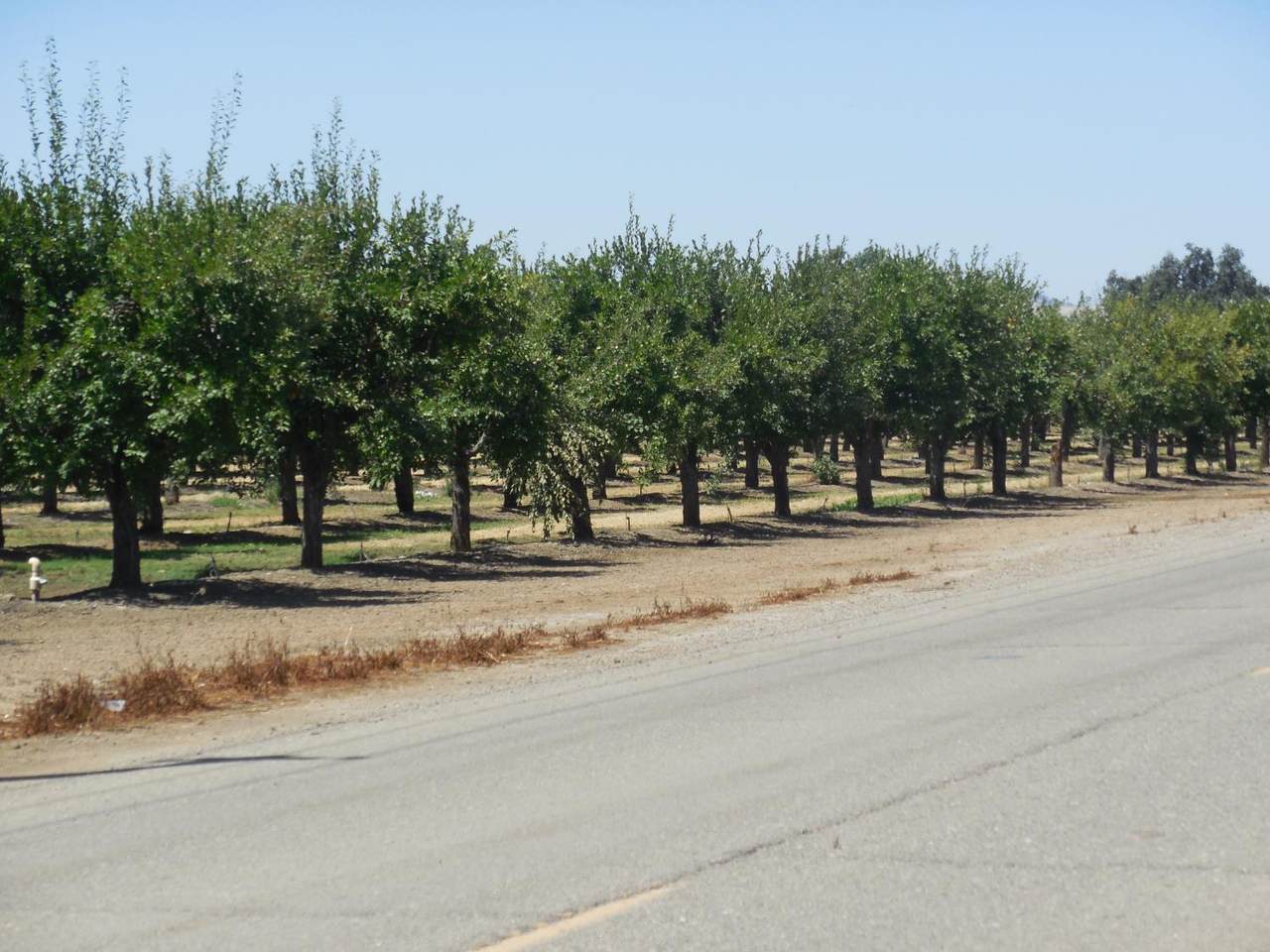 https://bt-photos.global.ssl.fastly.net/sacramento/1280_boomver_1_560967465-2.jpg