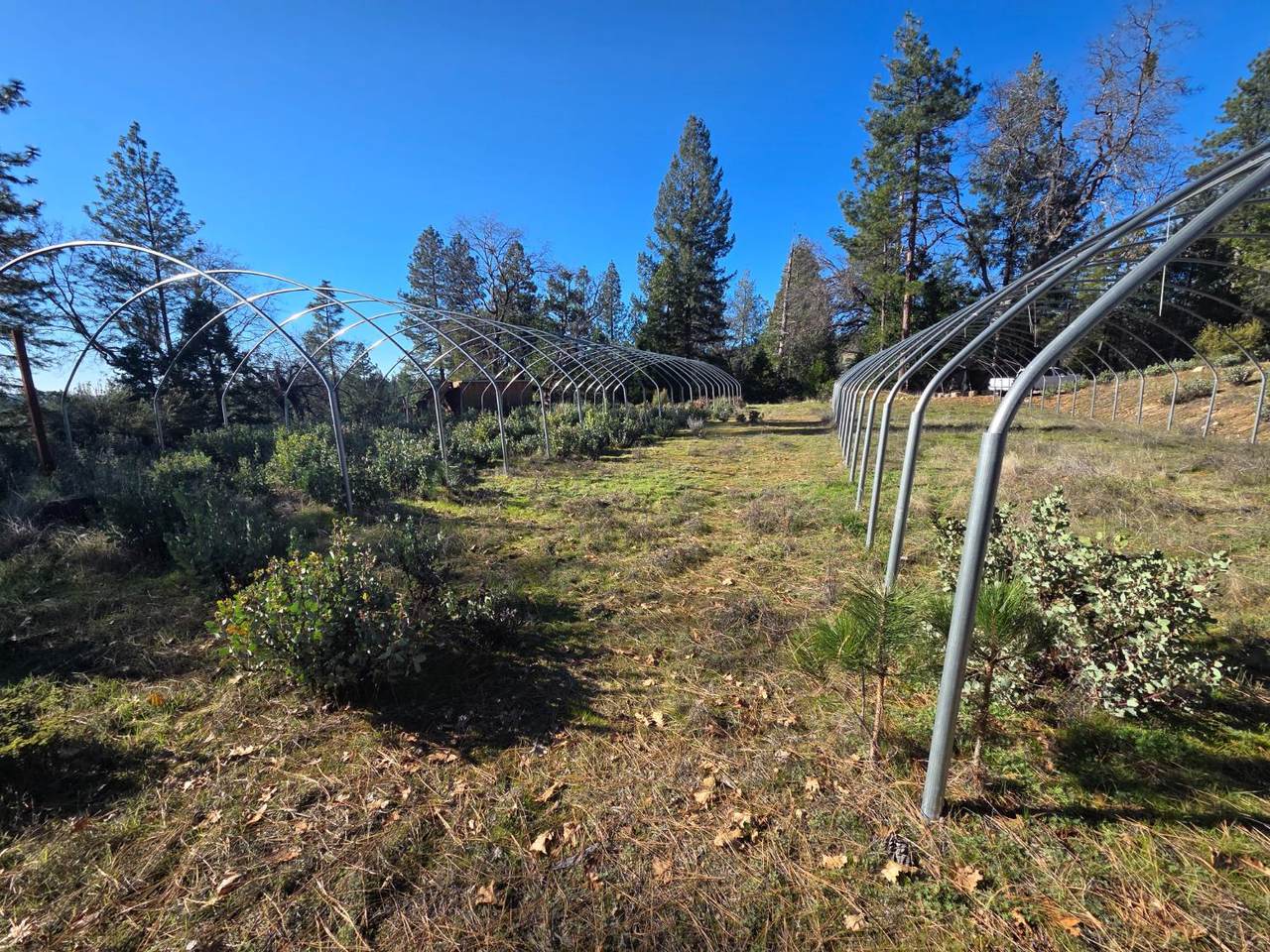 https://bt-photos.global.ssl.fastly.net/sacramento/1280_boomver_1_560967930-2.jpg