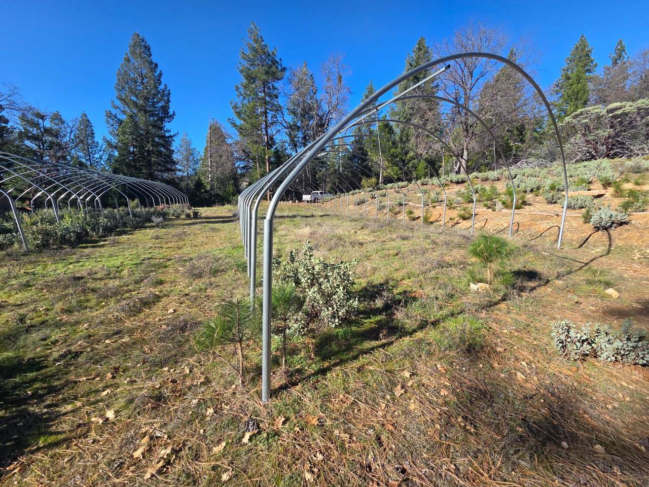 https://bt-photos.global.ssl.fastly.net/sacramento/1280_boomver_1_560967930-2.jpg