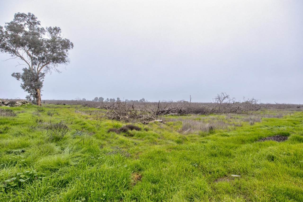 16605 Road 208 - Photo 1