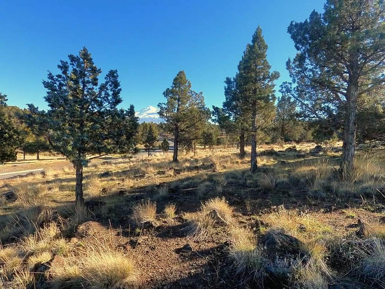 0 Mountain Wood Drive - Photo 1