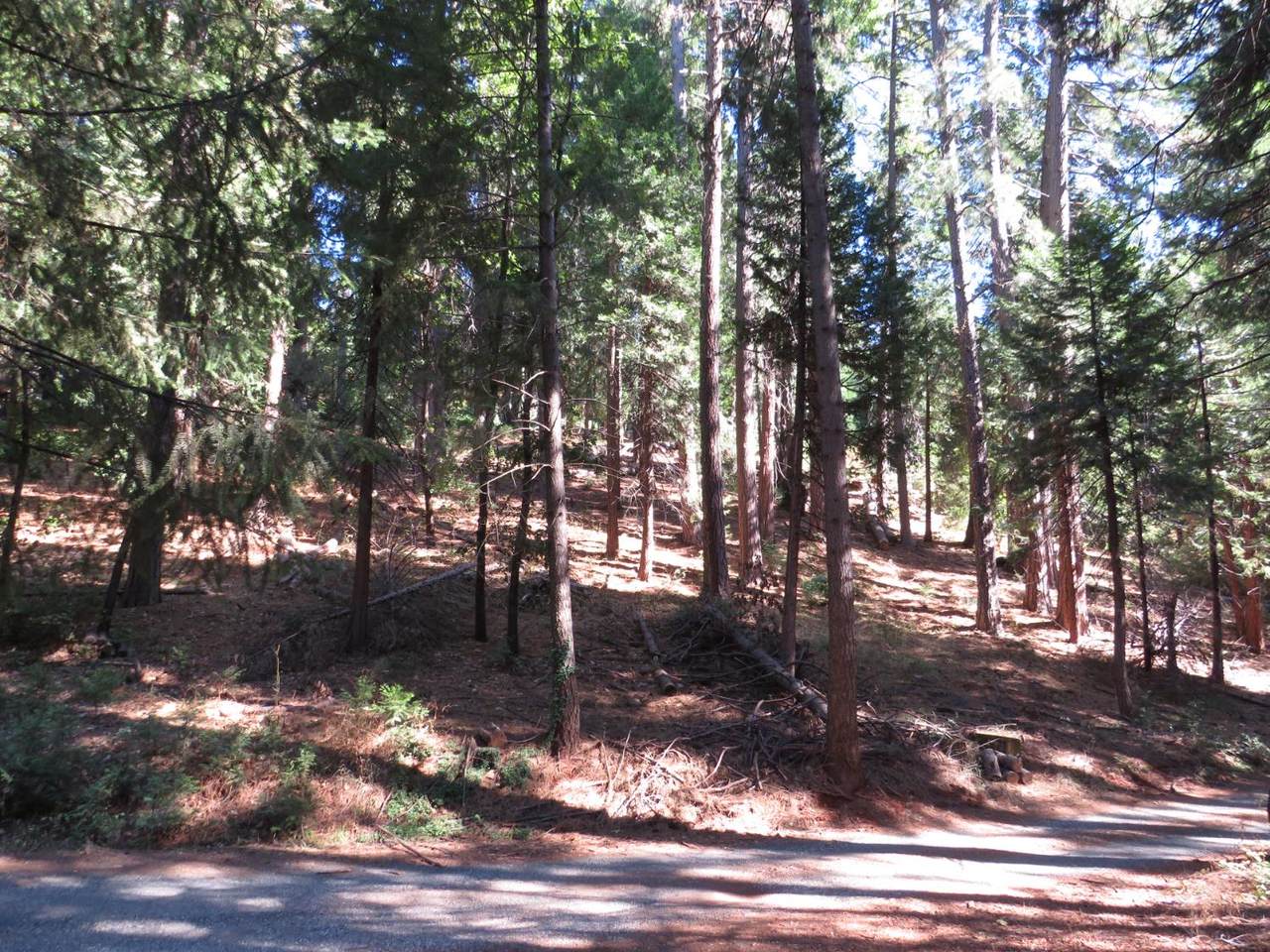 172 Sylvan Road - Photo 1