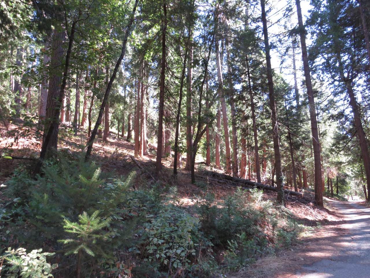 https://bt-photos.global.ssl.fastly.net/sacramento/orig_boomver_1_560970120-2.jpg