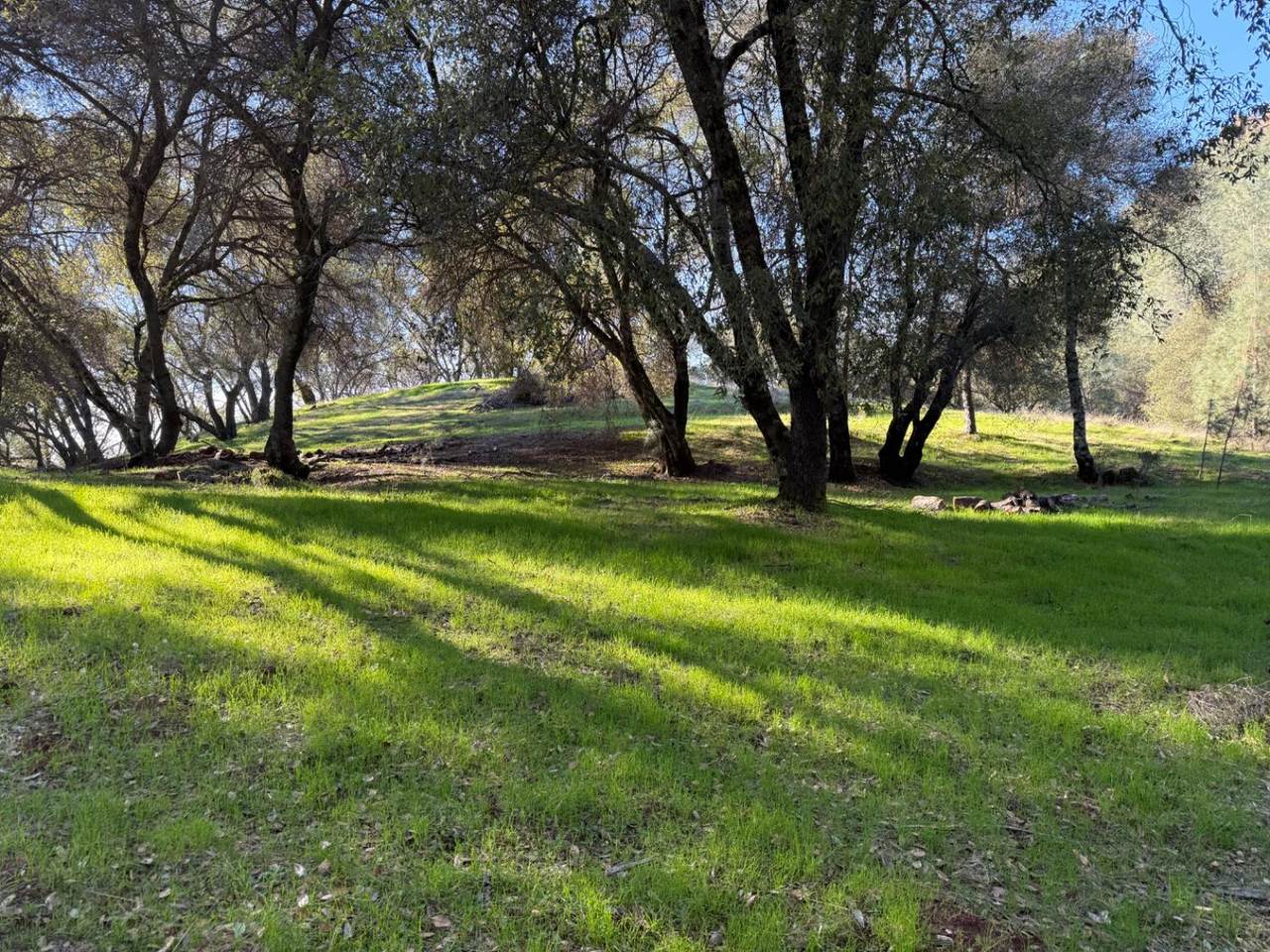 https://bt-photos.global.ssl.fastly.net/sacramento/1280_boomver_1_560970148-2.jpg