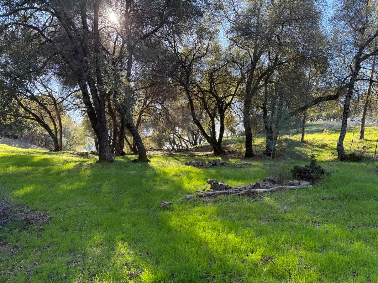 https://bt-photos.global.ssl.fastly.net/sacramento/1280_boomver_1_560970148-2.jpg