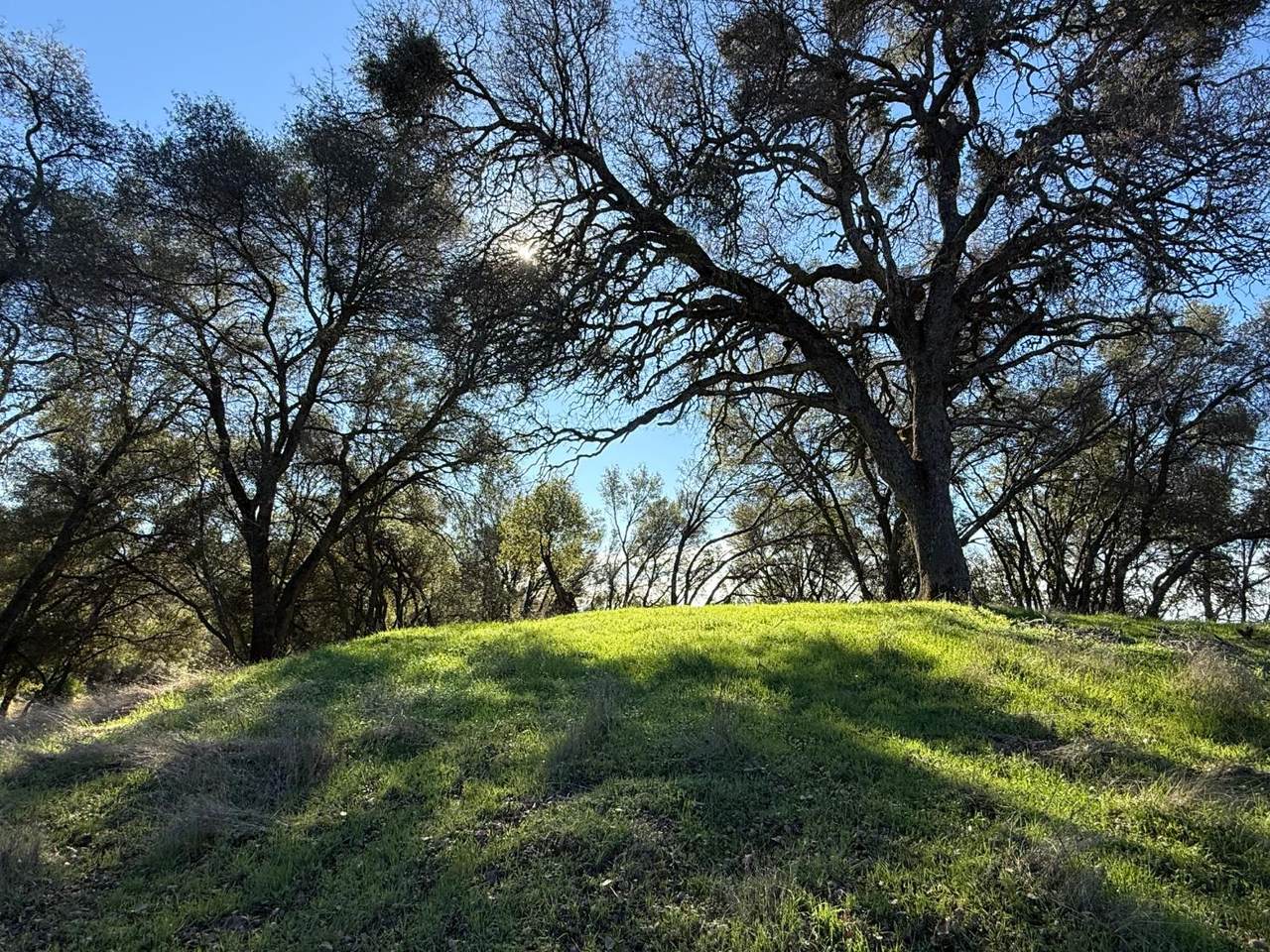https://bt-photos.global.ssl.fastly.net/sacramento/1280_boomver_1_560970148-2.jpg