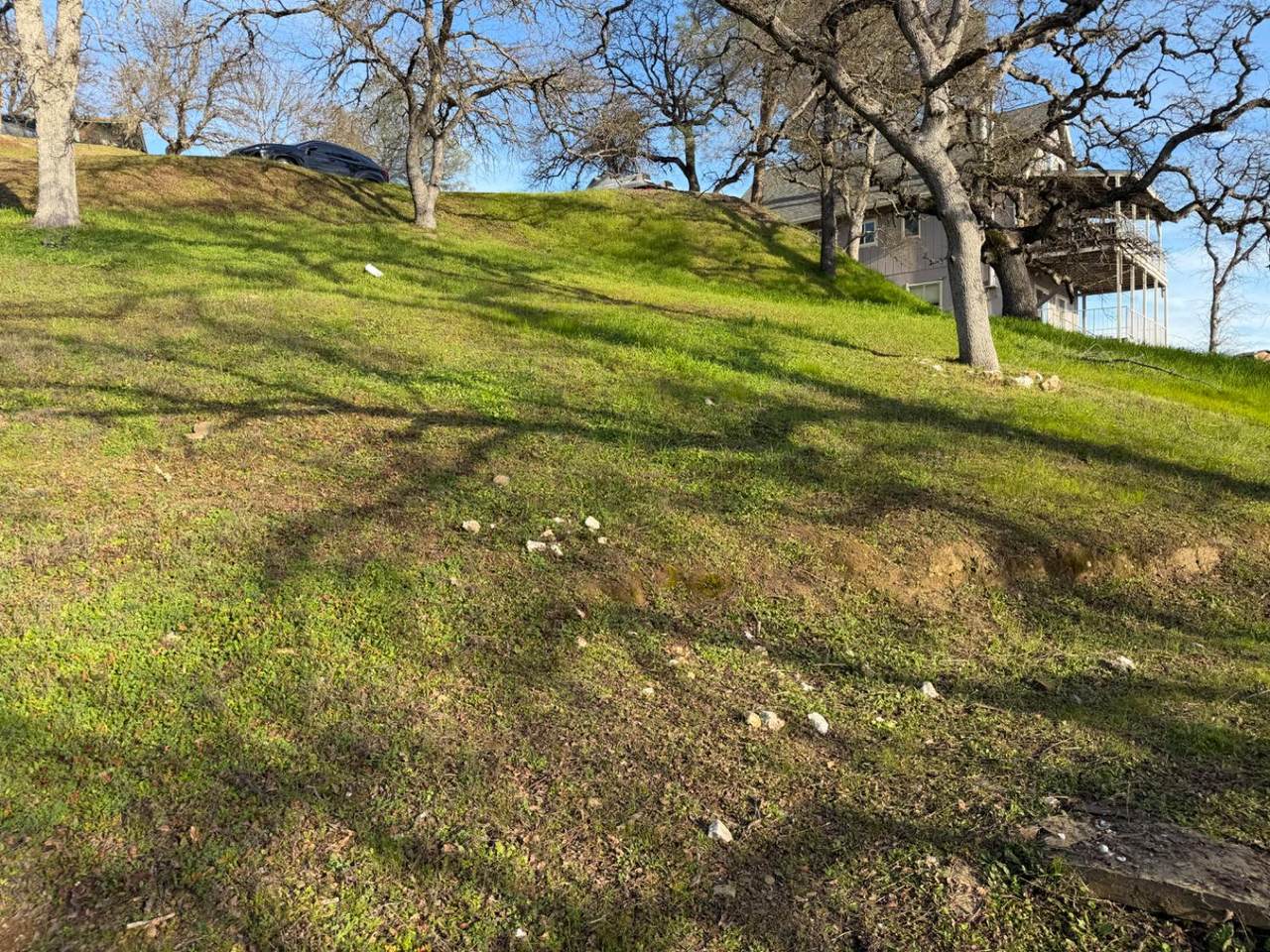 https://bt-photos.global.ssl.fastly.net/sacramento/1280_boomver_1_560970836-2.jpg