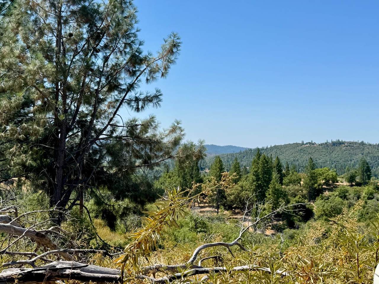 9055 Rodesino Road - Photo 1