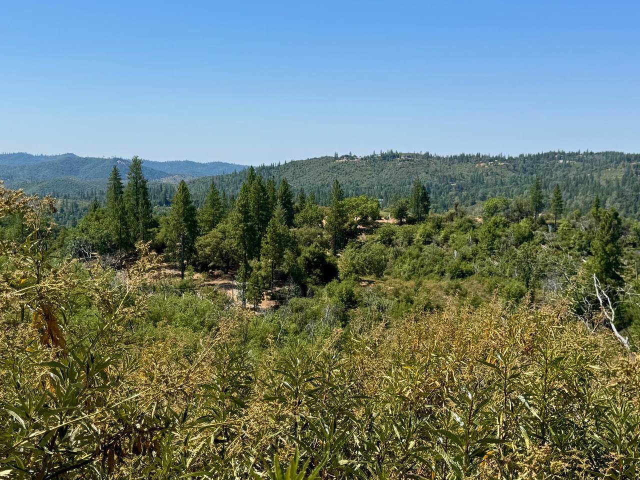 https://bt-photos.global.ssl.fastly.net/sacramento/1280_boomver_1_560971061-2.jpg