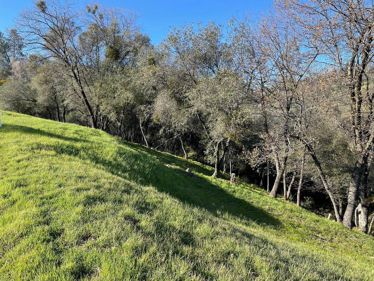 https://bt-photos.global.ssl.fastly.net/sacramento/1280_boomver_1_560971257-2.jpg