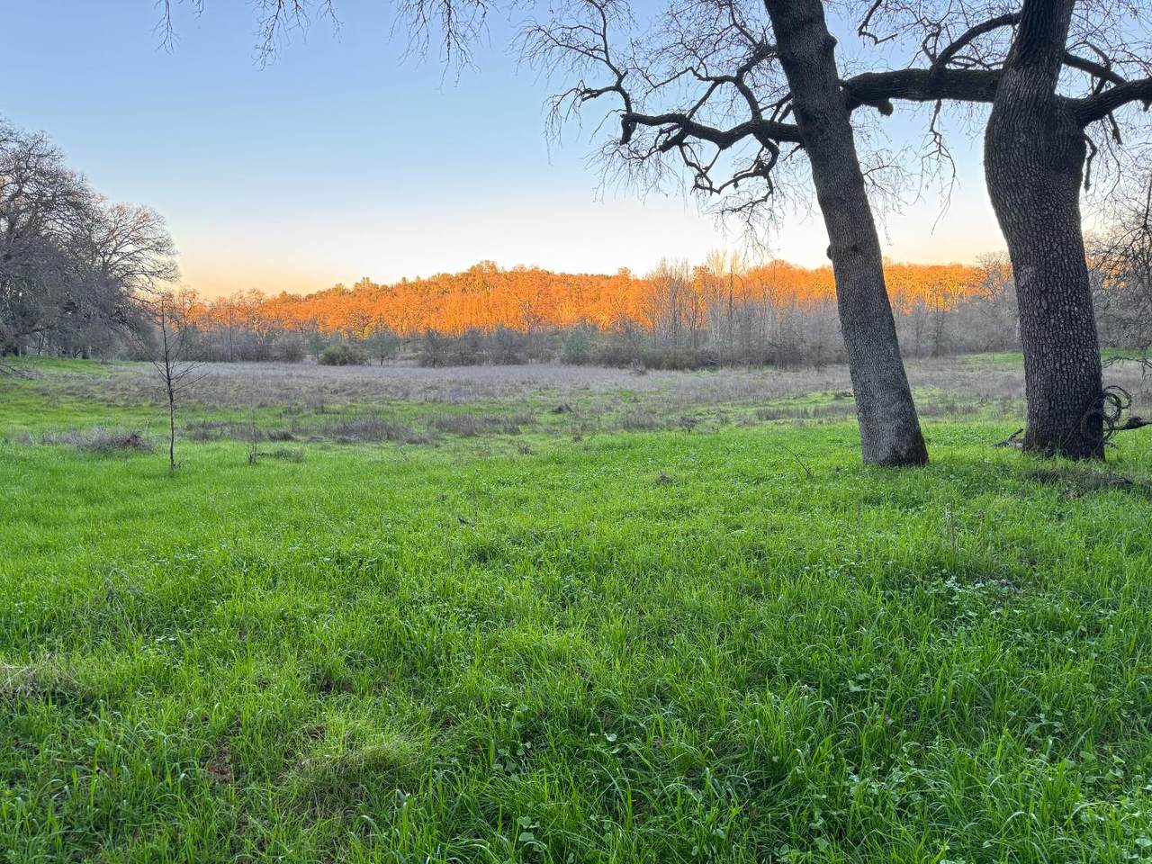https://bt-photos.global.ssl.fastly.net/sacramento/1280_boomver_1_560972247-2.jpg