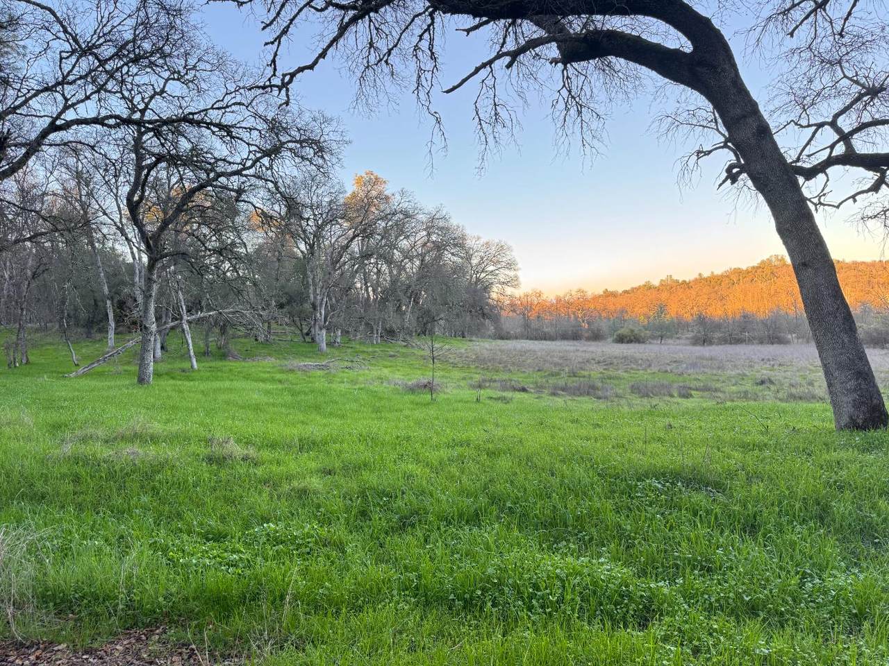 https://bt-photos.global.ssl.fastly.net/sacramento/1280_boomver_1_560972247-2.jpg