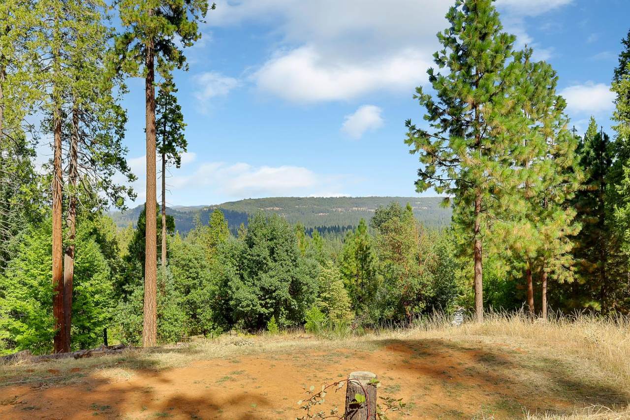 11021 Pittsburg Mine Road - Photo 1