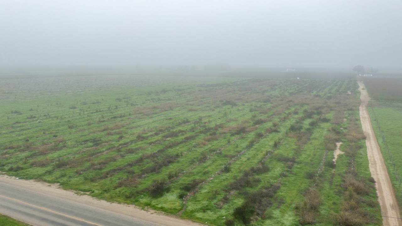 0 Road 208 - Photo 1