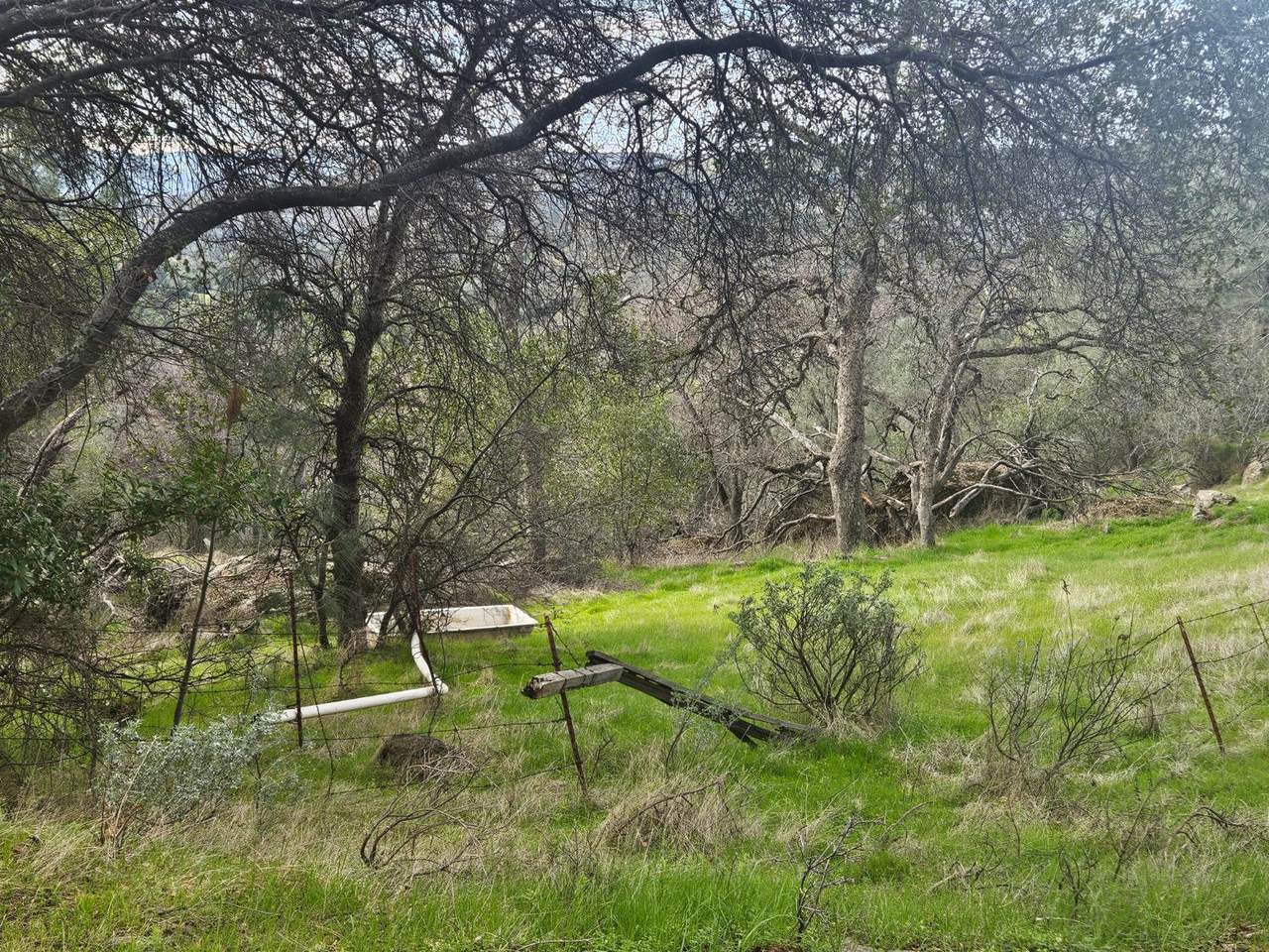 https://bt-photos.global.ssl.fastly.net/sacramento/1280_boomver_1_560972650-2.jpg